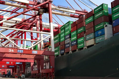 個人信息保護、農民工工資支付、港口貨物裝卸搬運活動——11月起這些新規影響你我生活
